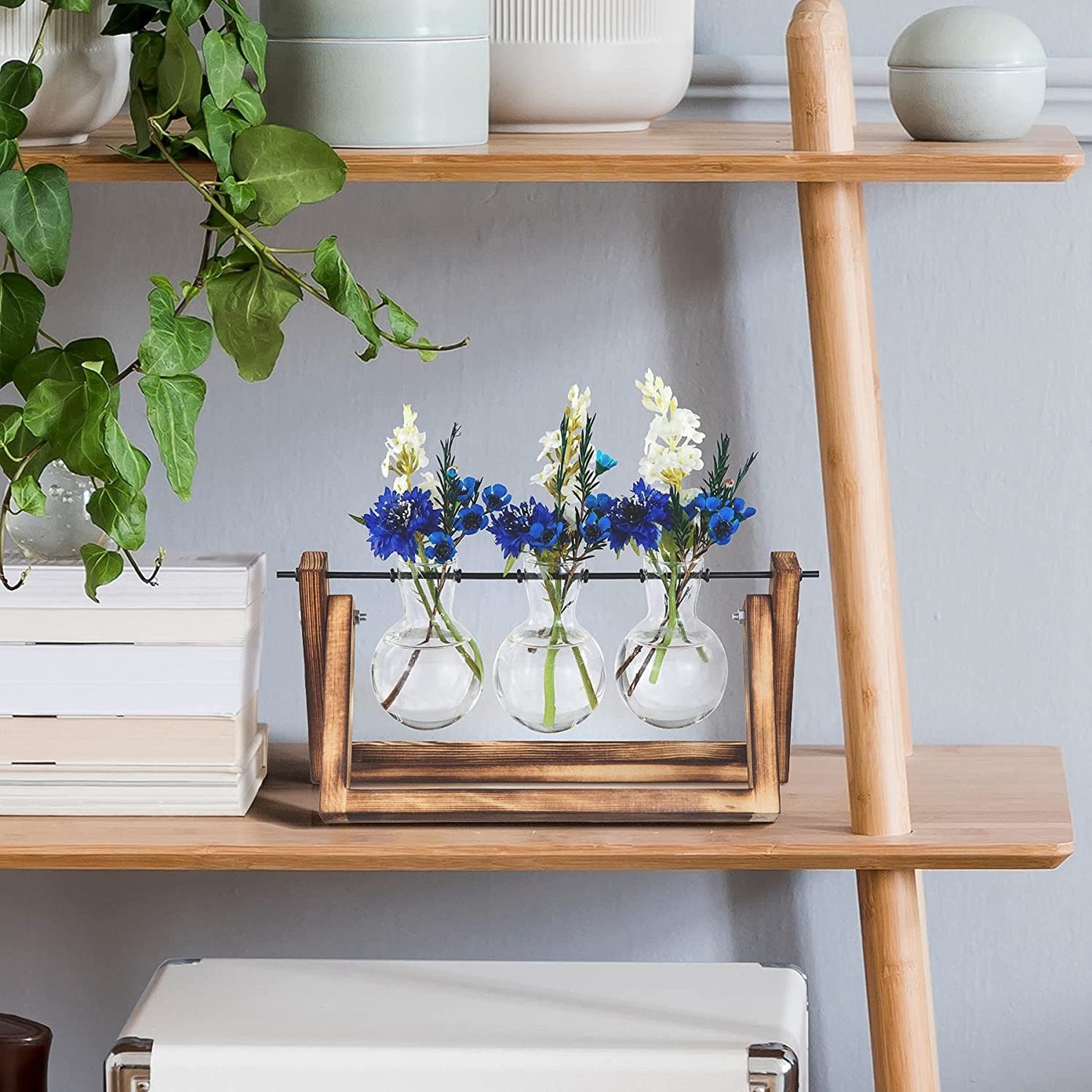 Jarrón de Propagación de Plantas con Soporte de Madera - HTrend