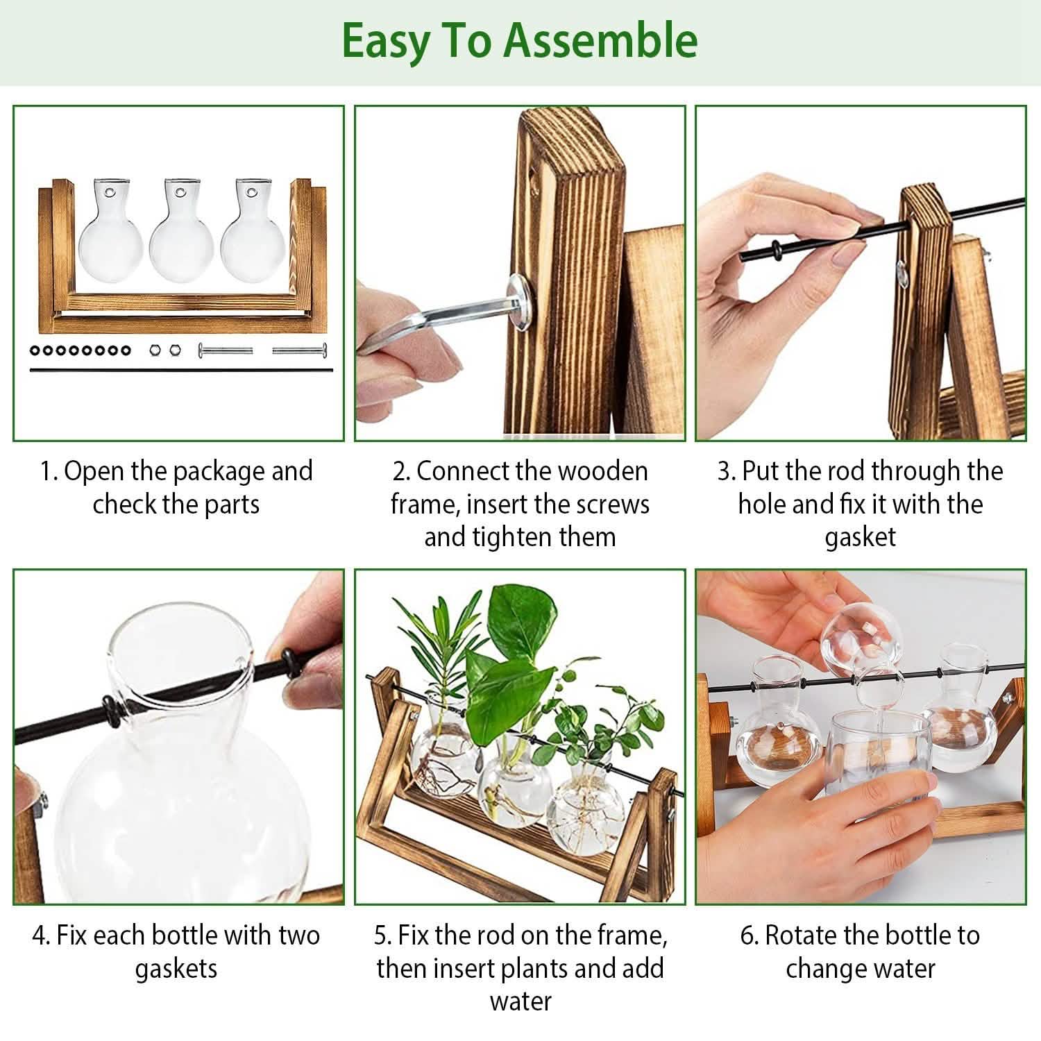 Plant propagation station glass vase wood base cuttings
