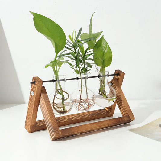 Jarrón de Propagación de Plantas con Soporte de Madera - HTrend