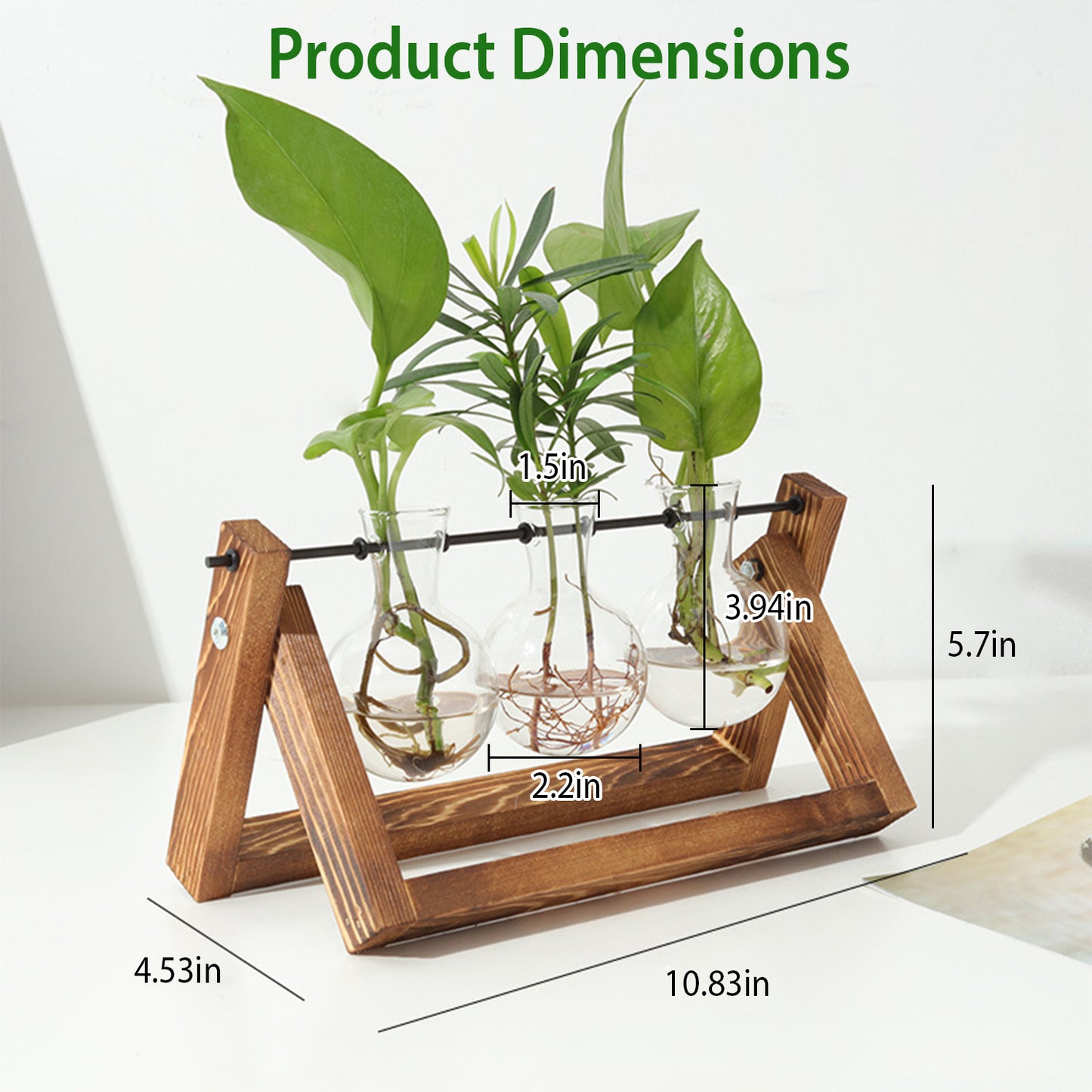 Jarrón de Propagación de Plantas con Soporte de Madera - HTrend