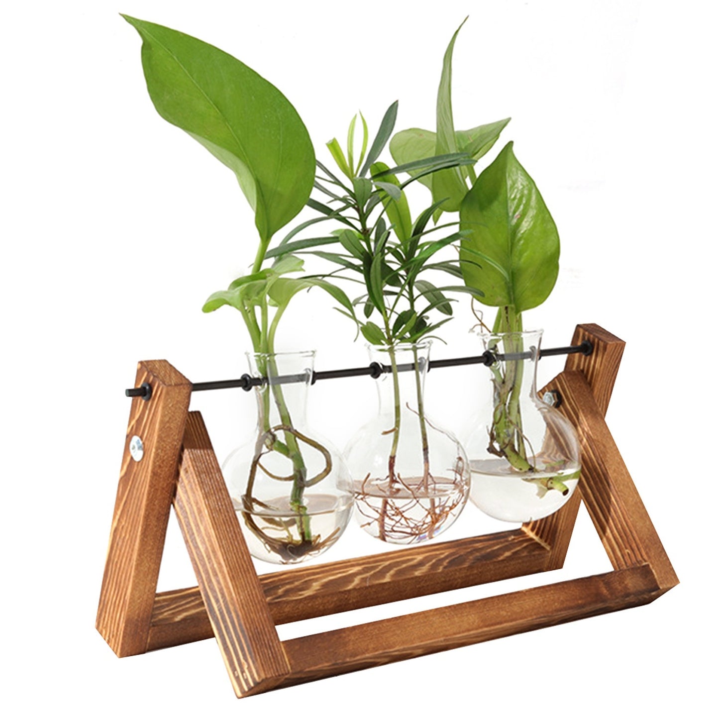 Jarrón de Propagación de Plantas con Soporte de Madera - HTrend