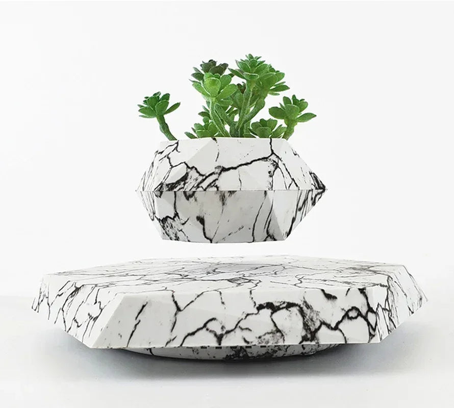 Marble Geometric Planter with succulent plants, featuring a striking black and white design.