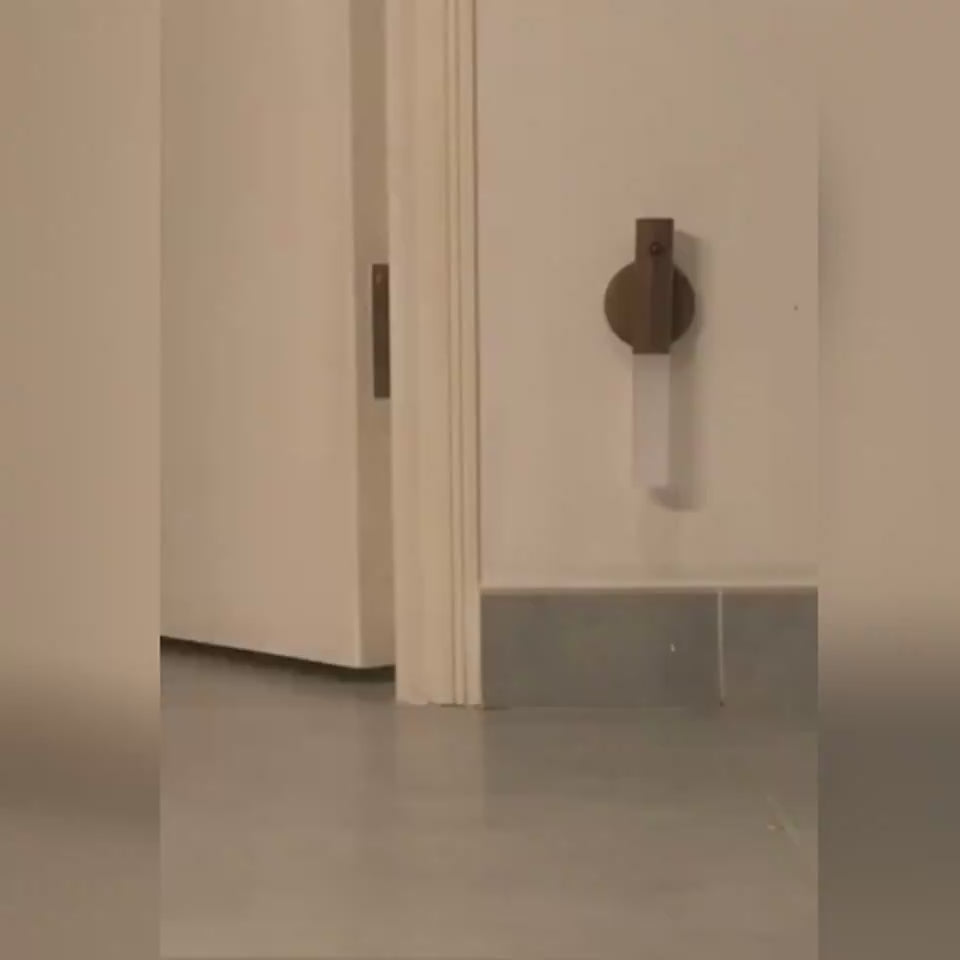 Automatic motion sensor night light warm glow energy efficient
